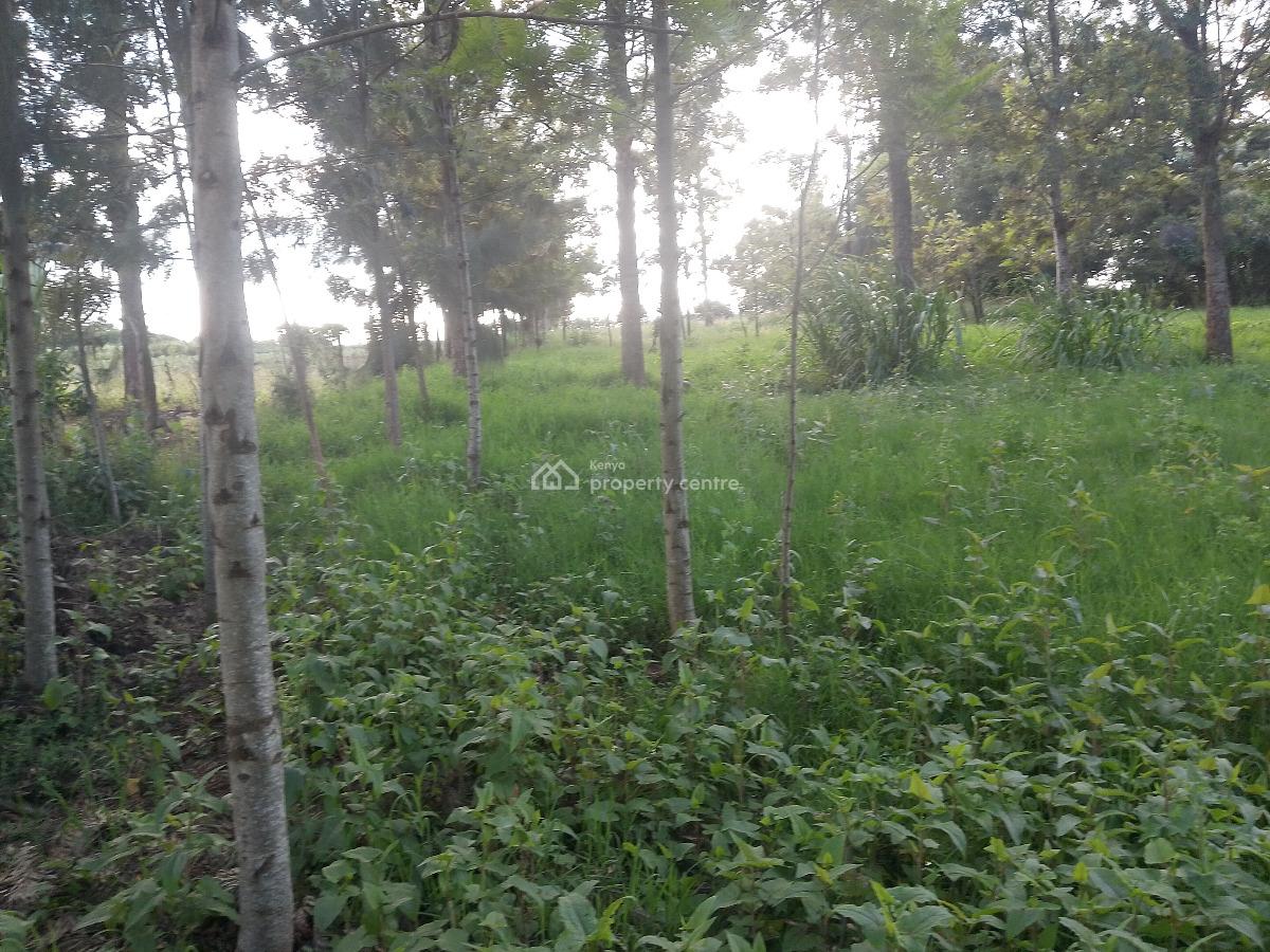 Prime Plot, Kibiko, Ngong, Kajiado, Residential Land for Sale