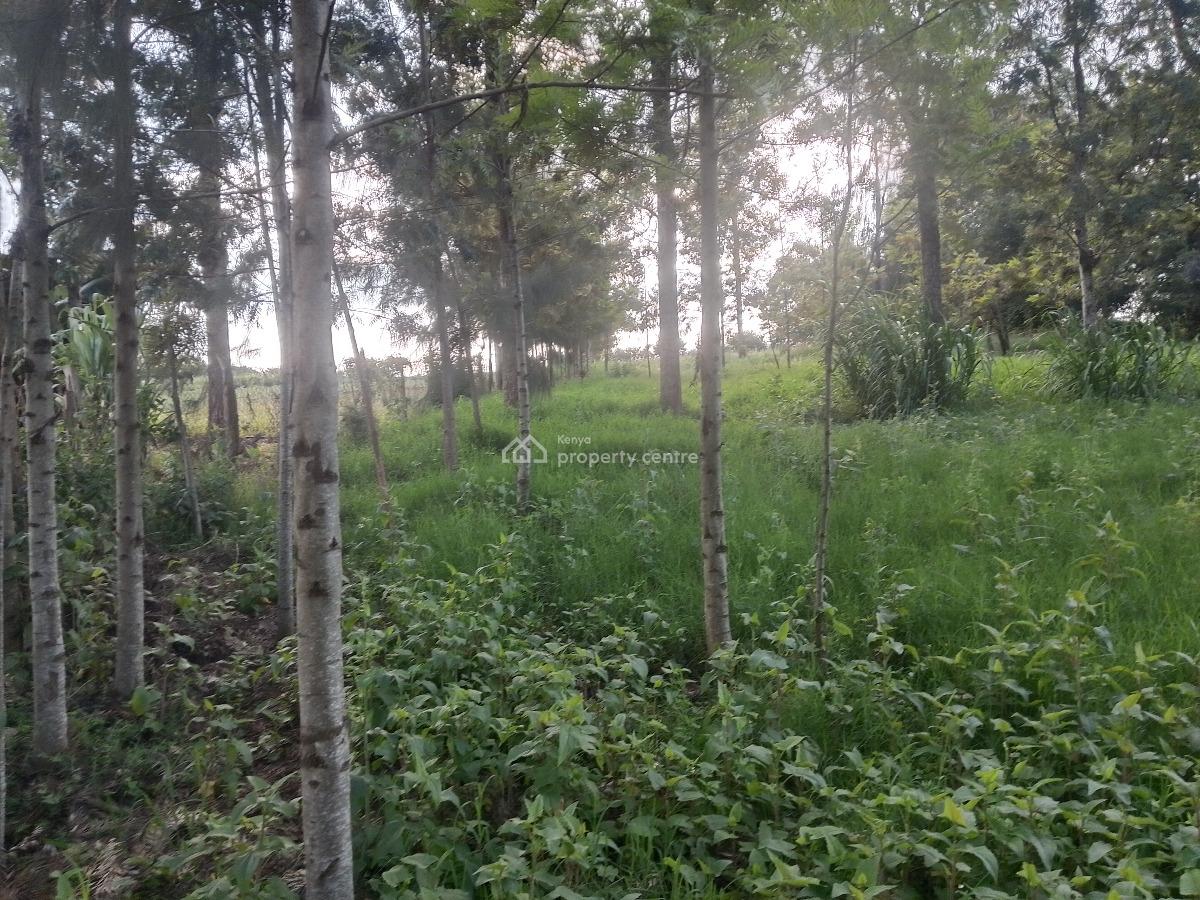 Prime Plot, Kibiko, Ngong, Kajiado, Residential Land for Sale
