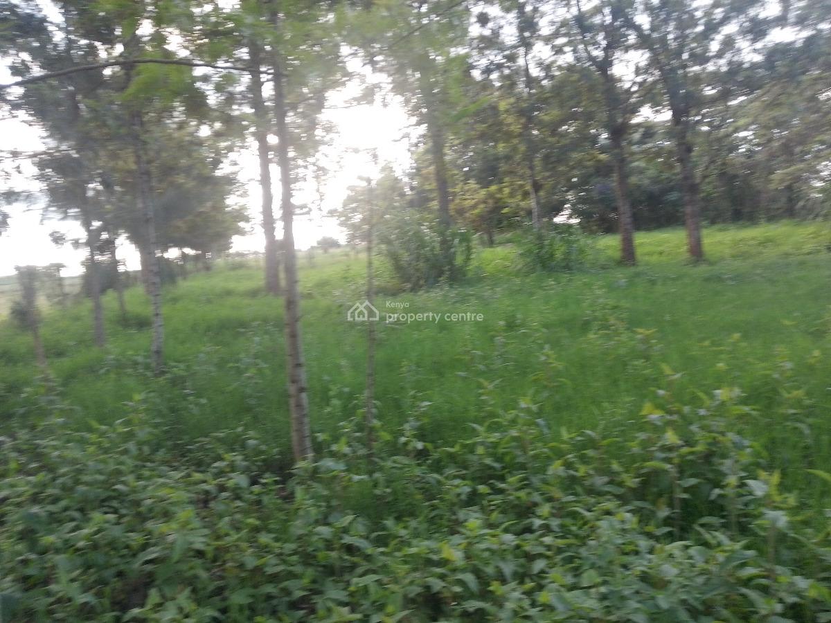 Prime Plot, Kibiko, Ngong, Kajiado, Residential Land for Sale