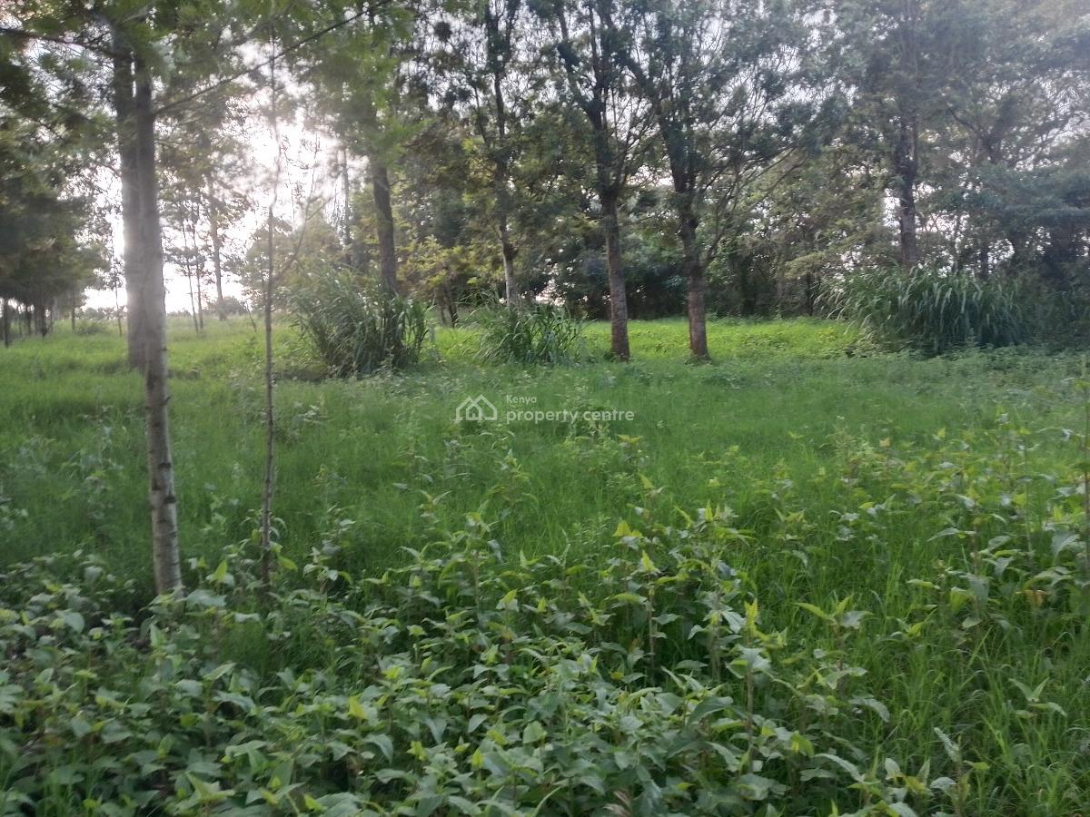 Prime Plot, Kibiko, Ngong, Kajiado, Residential Land for Sale