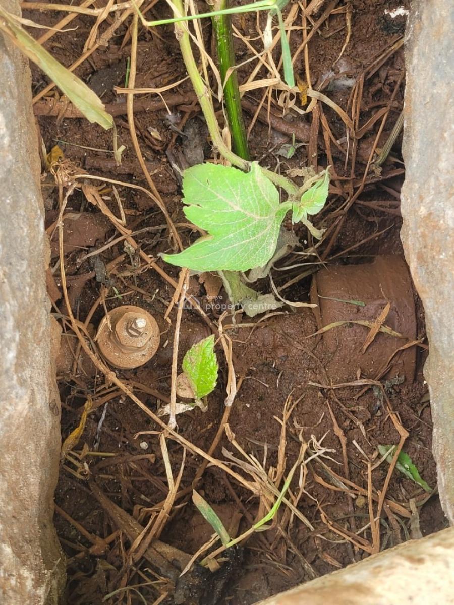 Kikuyu Plots - 50 By 100, Thigio Centre, Thigio, Kikuyu, Kiambu, Residential Land for Sale