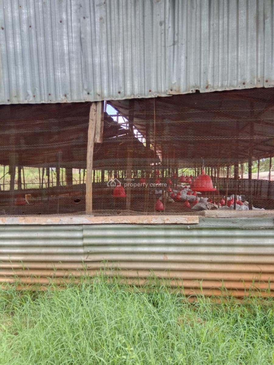 Prime Poultry Farm, Ruiru - Kiganjo Road, Ngenda, Kiambu, Mixed-use Land for Rent