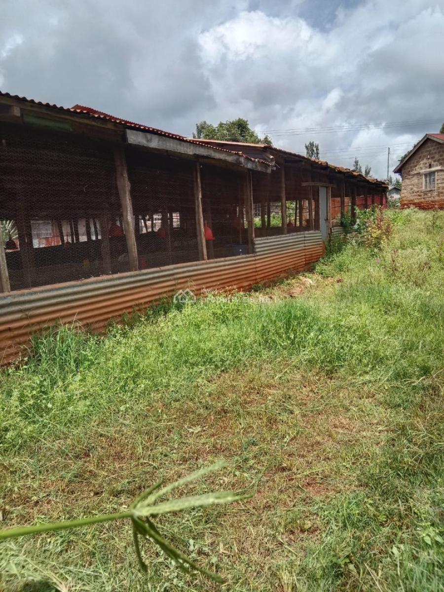 Prime Poultry Farm, Ruiru - Kiganjo Road, Ngenda, Kiambu, Mixed-use Land for Rent