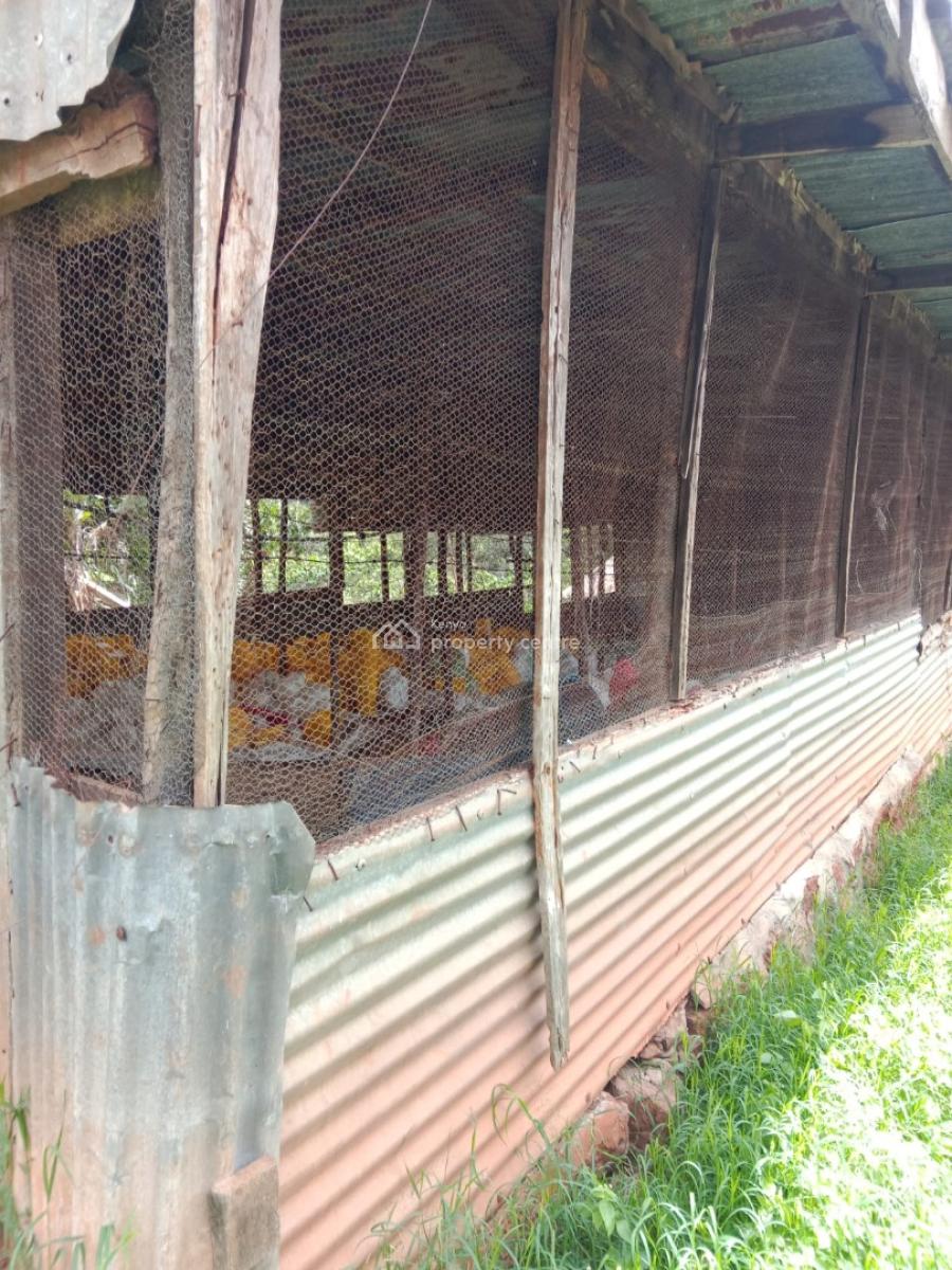 Prime Poultry Farm, Ruiru - Kiganjo Road, Ngenda, Kiambu, Mixed-use Land for Rent
