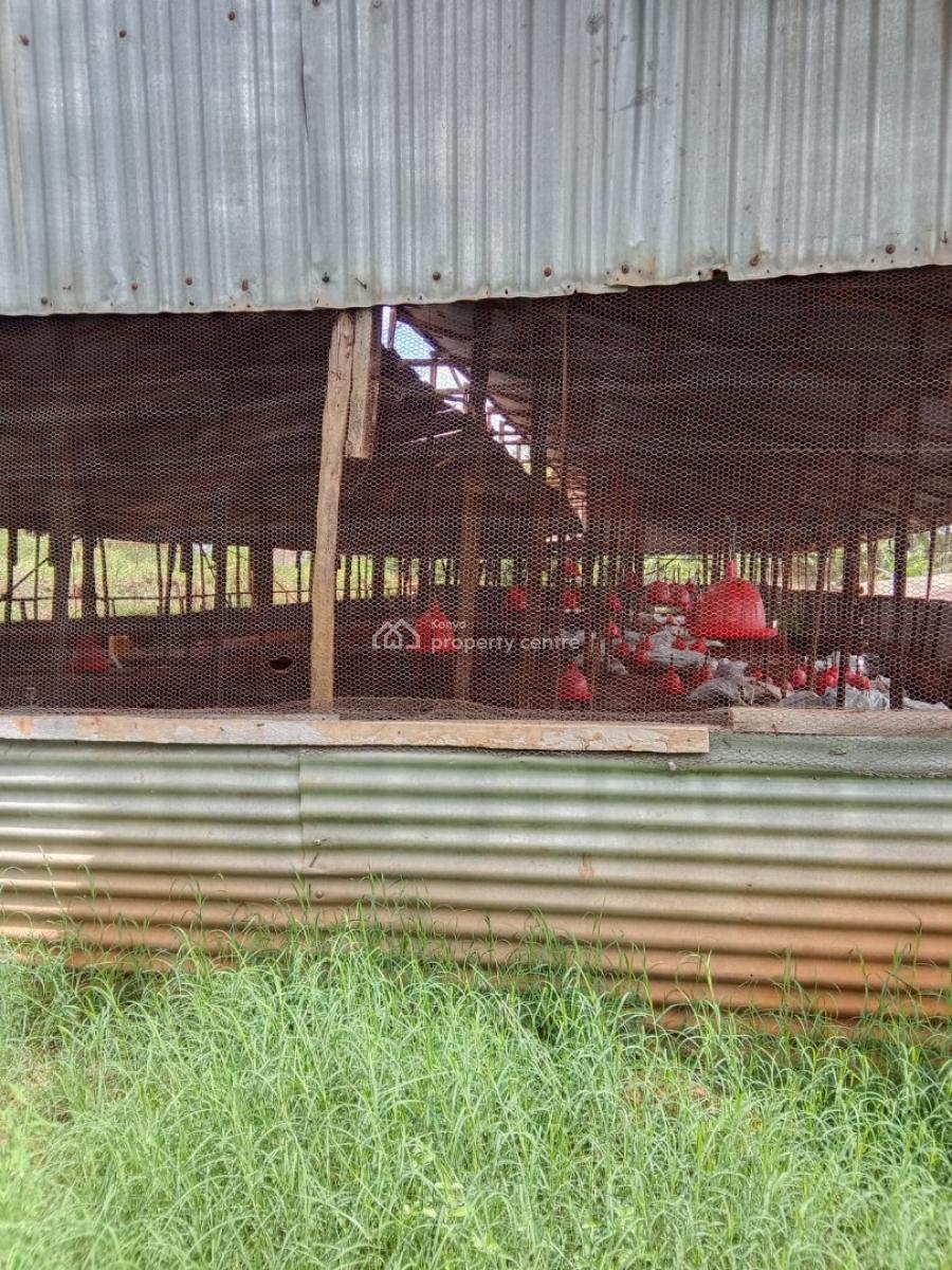 Prime Poultry Farm, Ruiru - Kiganjo Road, Ngenda, Kiambu, Mixed-use Land for Rent
