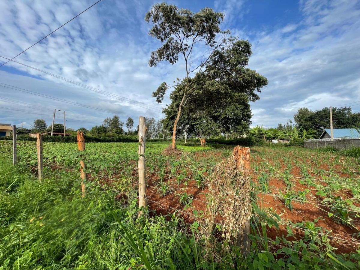 Prime Land, Dedan Kimanthi, Nyeri, Land for Sale