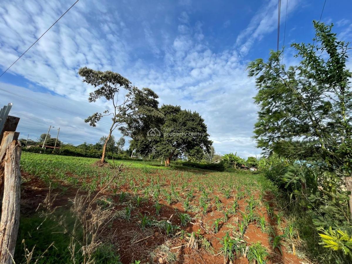 Prime Land, Dedan Kimanthi, Nyeri, Land for Sale