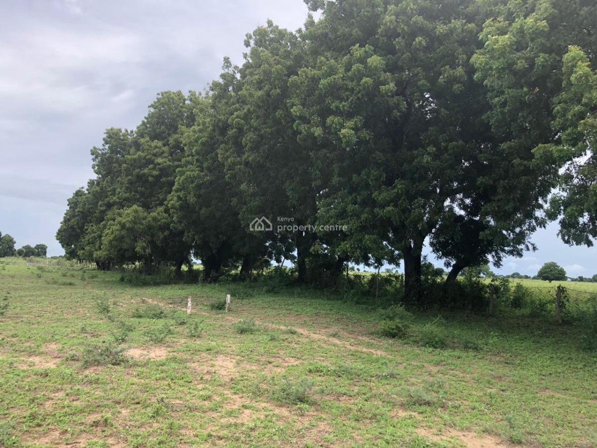 Prime Plots Right on The Highway, Malindi - Mambrui Road, Malindi Town, Kilifi, Mixed-use Land for Sale