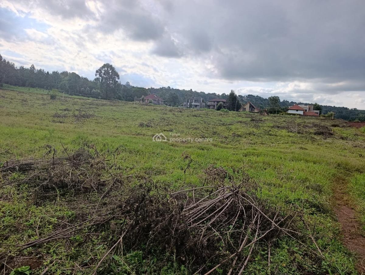 Prime 50 X 100 Plot for -- Kerarapon Drive (21st Drive) -- Ksh 8.5m, Kerarapon, Tigoni, Kiambu, Land for Sale