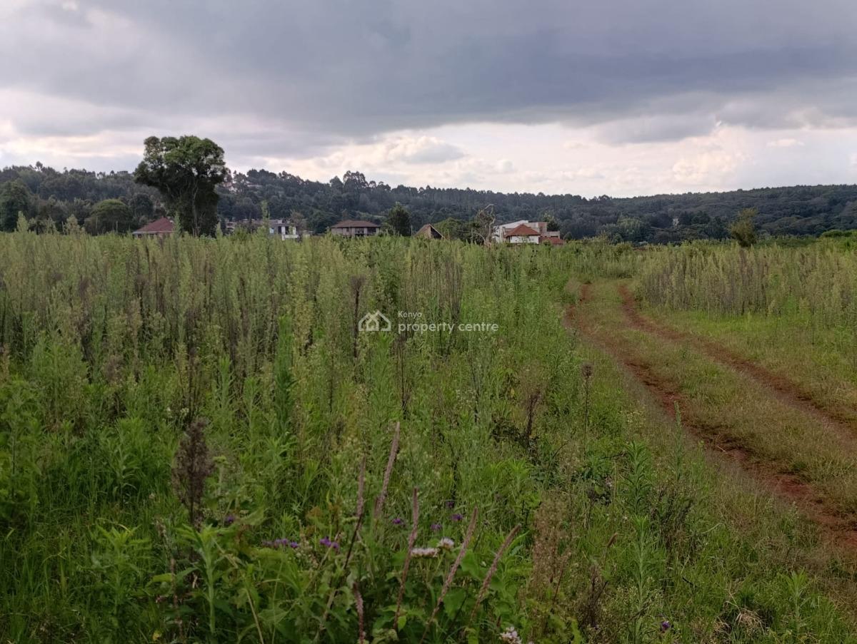 Prime 50 X 100 Plot for -- Kerarapon Drive (21st Drive) -- Ksh 8.5m, Kerarapon, Tigoni, Kiambu, Land for Sale