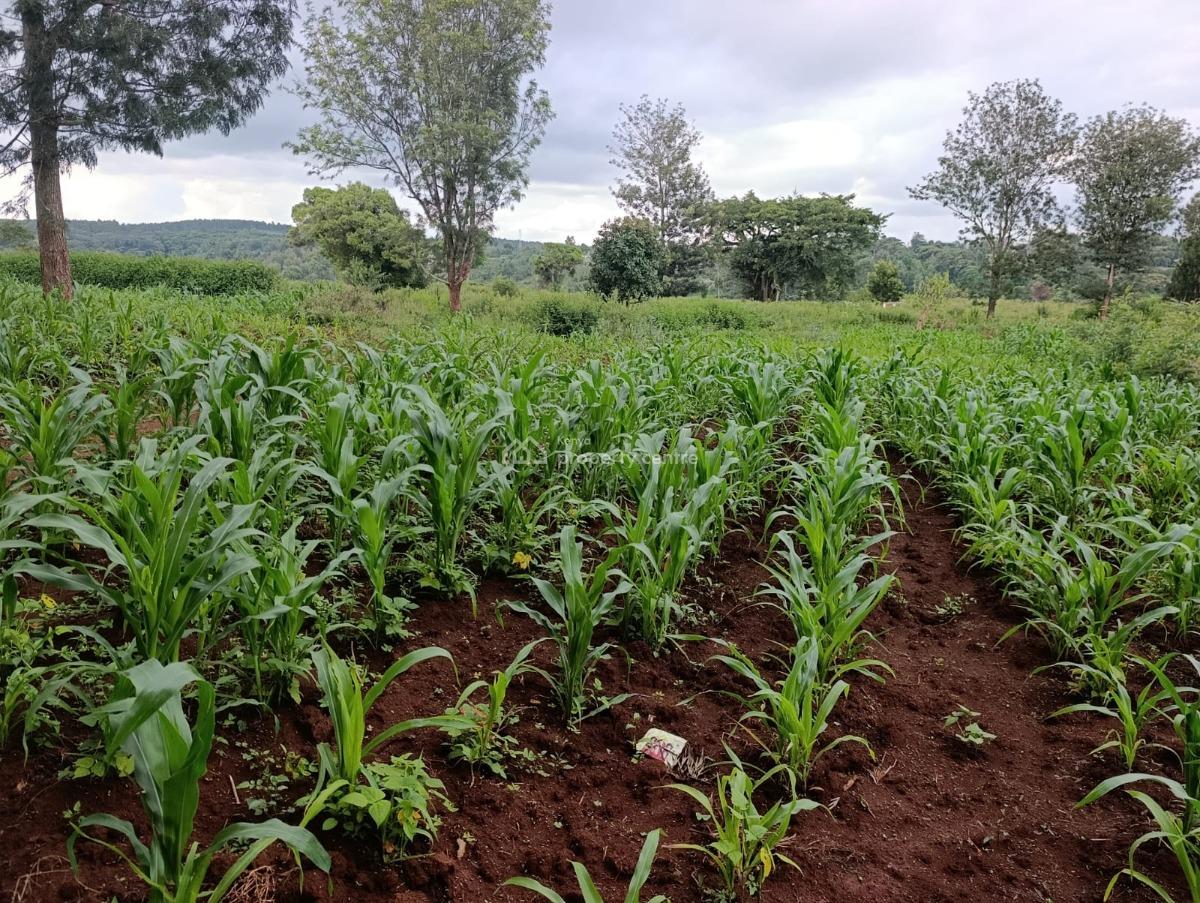 Prime Land  Kerarapon Drive (21st Drive)1acre,1/2 Acre and 1, Kerarapon, Ngong, Kajiado, Land for Sale