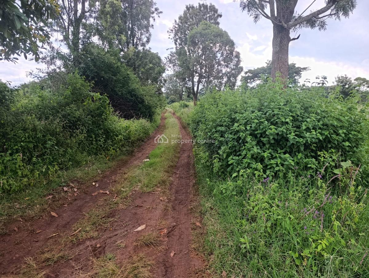 Prime Land  Kerarapon Drive (21st Drive)1acre,1/2 Acre and 1, Kerarapon, Ngong, Kajiado, Land for Sale