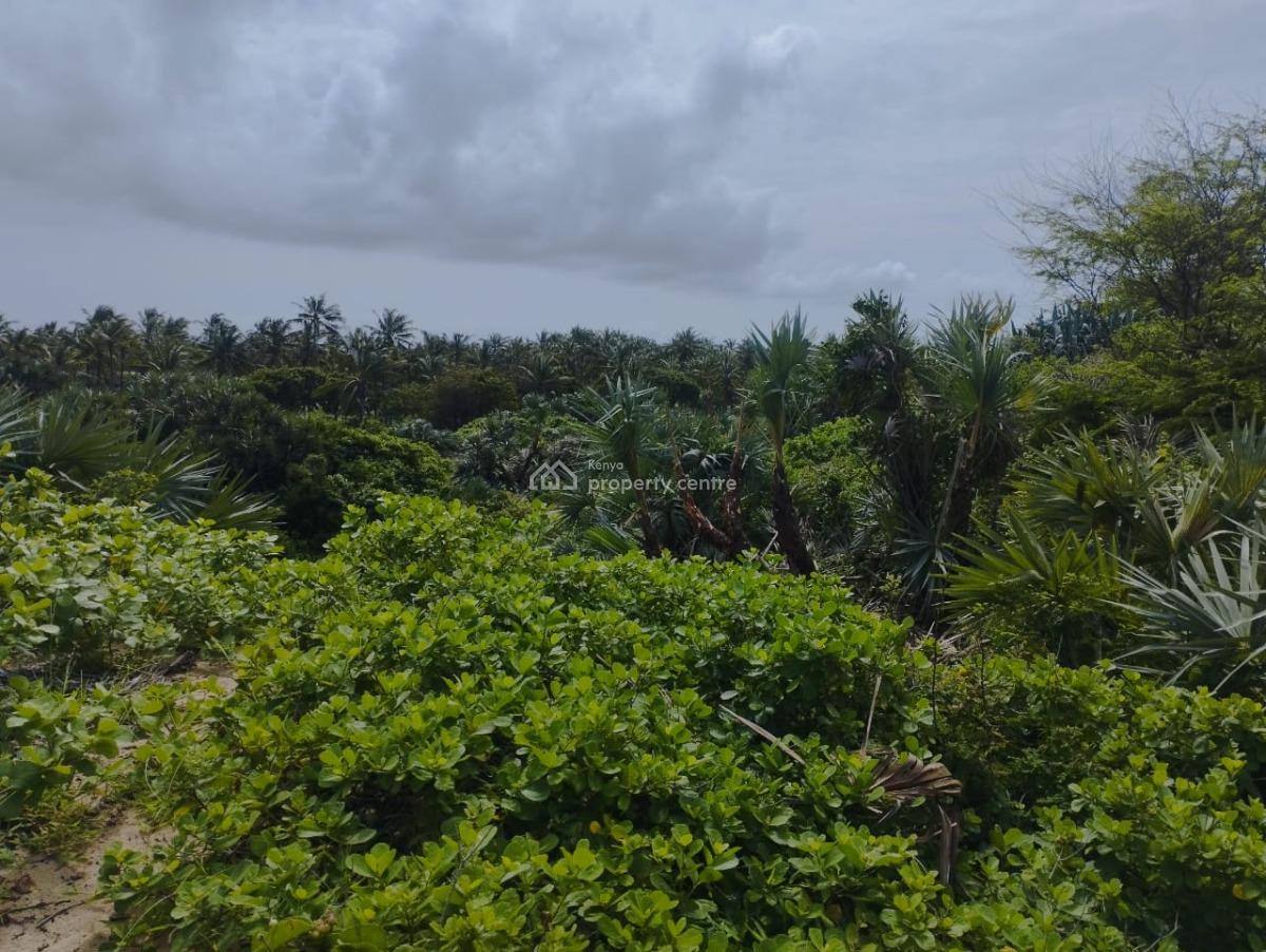 Grand 51-acre Oceanfront Land in Ngomeni, Malindi, Ngomeni, Malindi Town, Kilifi, Land for Sale
