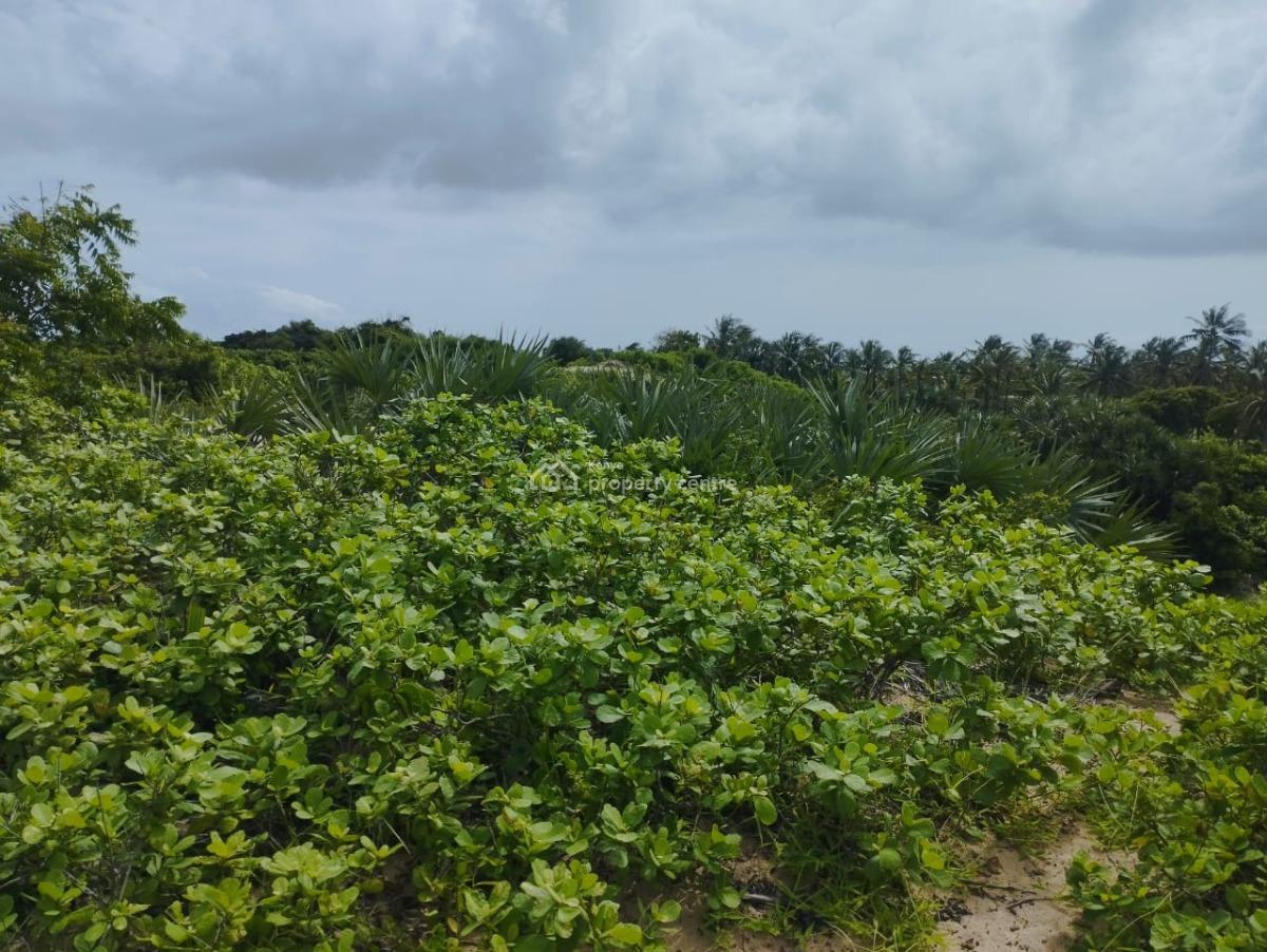 Grand 51-acre Oceanfront Land in Ngomeni, Malindi, Ngomeni, Malindi Town, Kilifi, Land for Sale