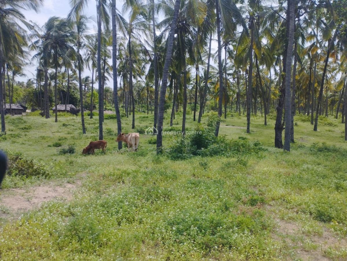Grand 51-acre Oceanfront Land in Ngomeni, Malindi, Ngomeni, Malindi Town, Kilifi, Land for Sale