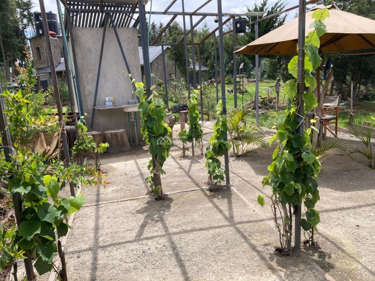 Property of Land with Houses in a Serene Location Near Mt. Kenya, Naromoru Kiamathaga, Nyeri, Mixed-use Land for Sale