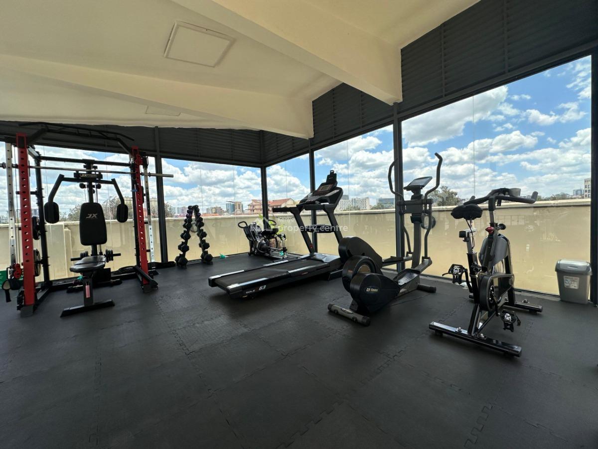 Duplex 2 Bedroom Apartment in Kilimani, Kilimani, Kilimani, Nairobi, Apartment for Rent