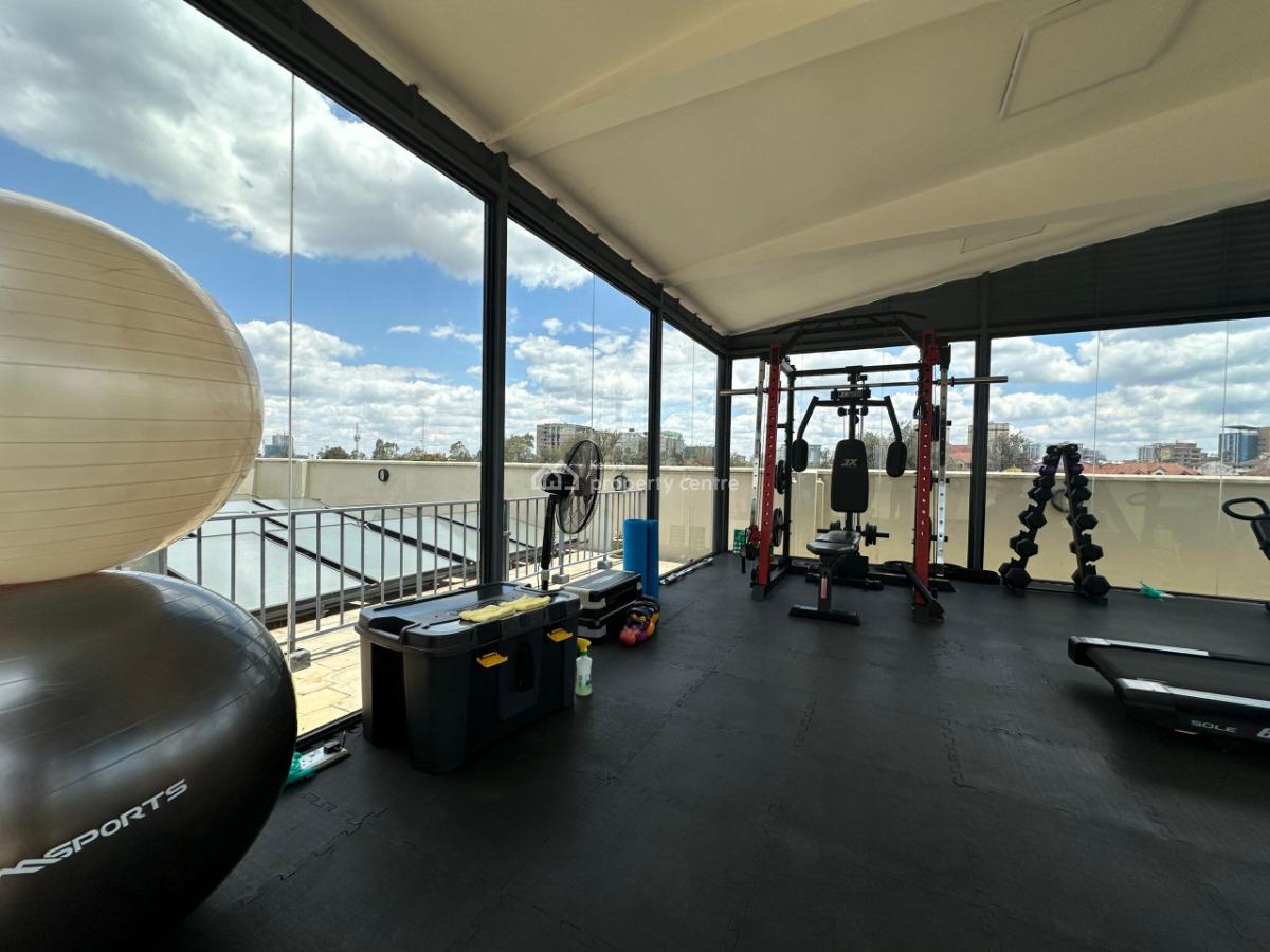 Duplex 2 Bedroom Apartment in Kilimani, Kilimani, Kilimani, Nairobi, Apartment for Rent