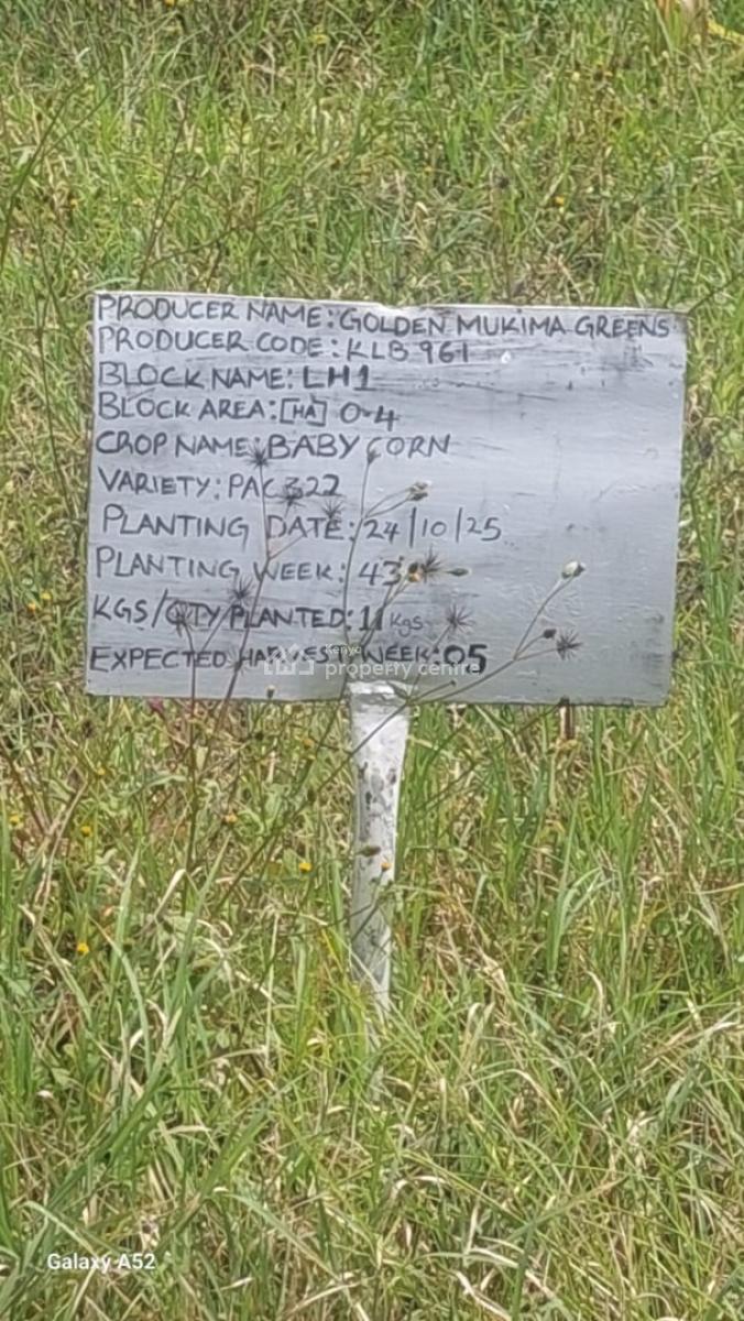 Prime 47-acre Investment Property -- Mukima, Nanyuki, Mukima, Nanyuki, Nanyuki, Laikipia, Commercial Land for Sale