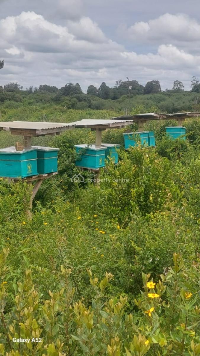 Prime 47-acre Investment Property -- Mukima, Nanyuki, Mukima, Nanyuki, Nanyuki, Laikipia, Commercial Land for Sale