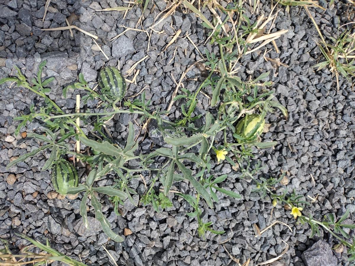 Prime Quarry Land -- Off Mombasa Road, Quarry Road, Syokimau/mulolongo, Machakos, Land for Sale