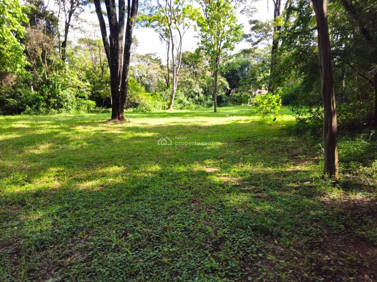 Elegant 4bedroom Home All Ensuite with Dsq on  2.6acres, Windyridge Karen., Karen, Nairobi, House for Sale