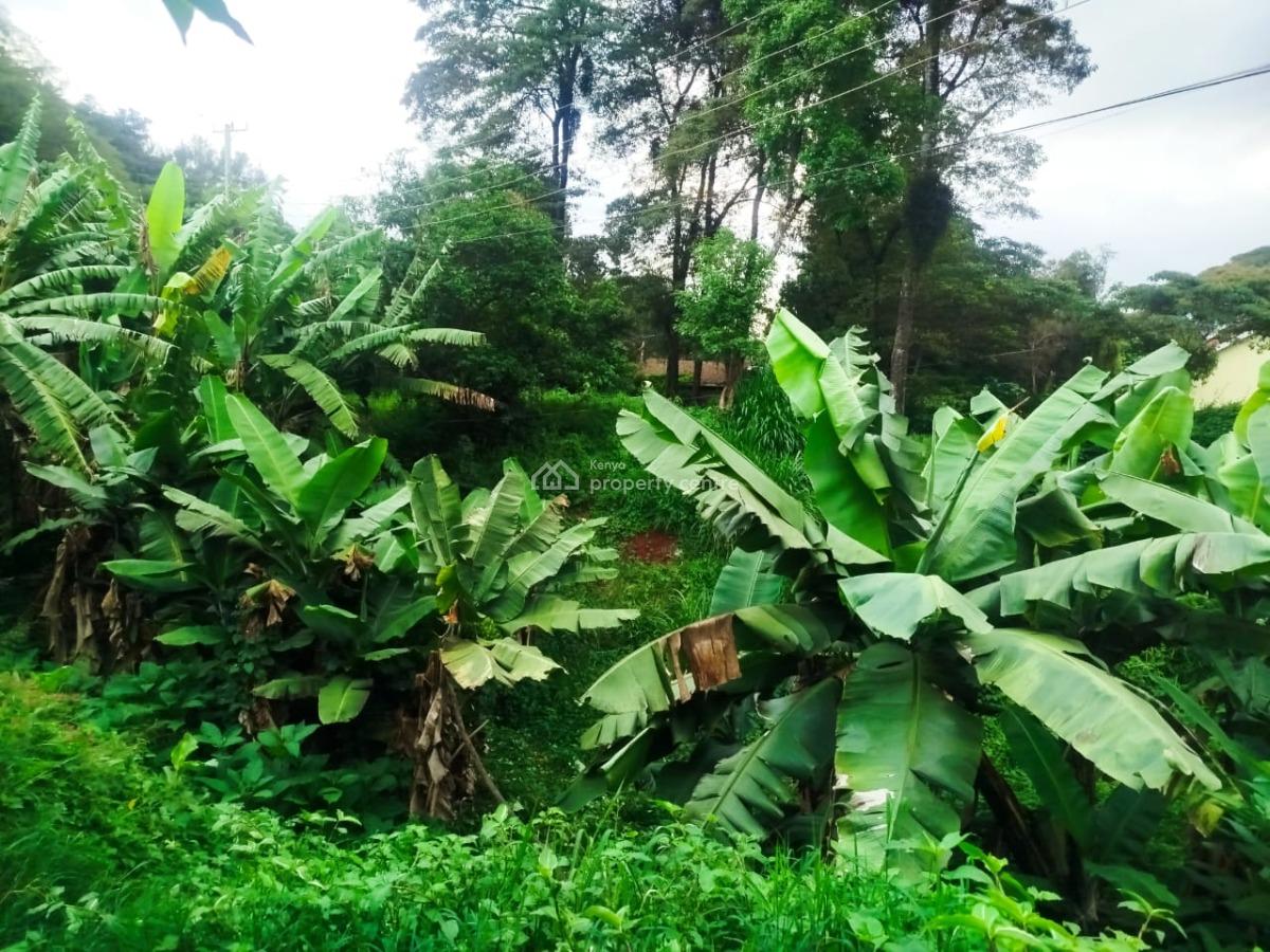 Prime 2 Acre Land Touching Tarmac, Touching Dagoretti Road, Karen, Nairobi, Land for Sale