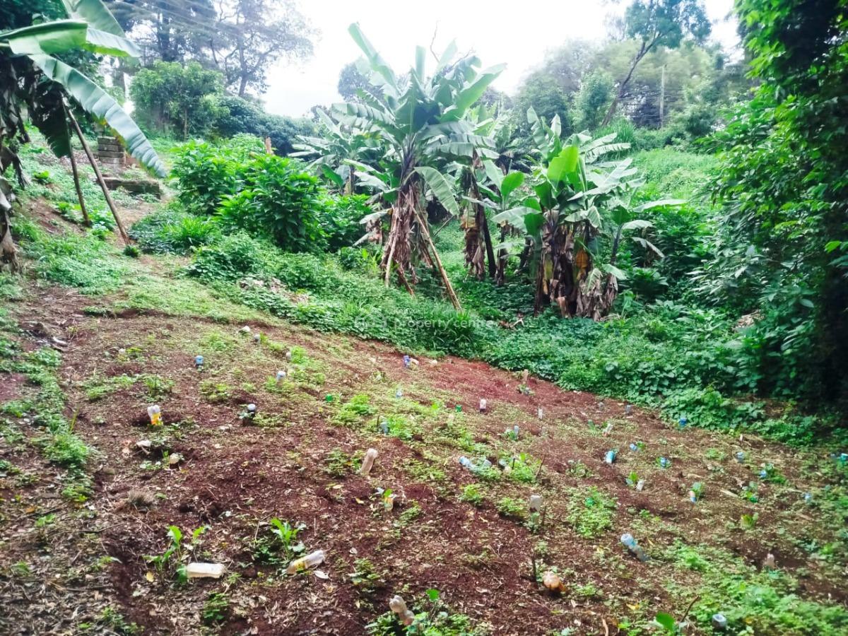 Prime 2 Acre Land Touching Tarmac, Touching Dagoretti Road, Karen, Nairobi, Land for Sale