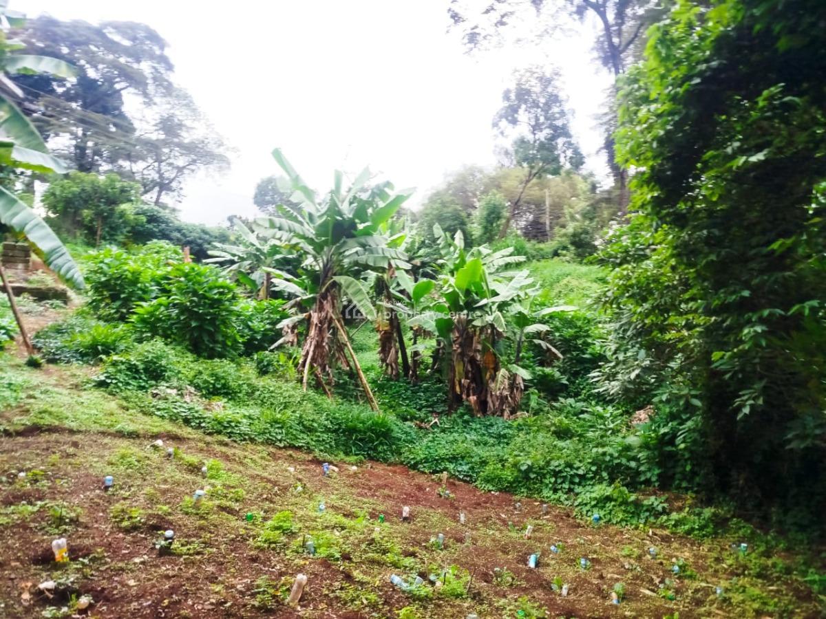 Prime 2 Acre Land Touching Tarmac, Touching Dagoretti Road, Karen, Nairobi, Land for Sale