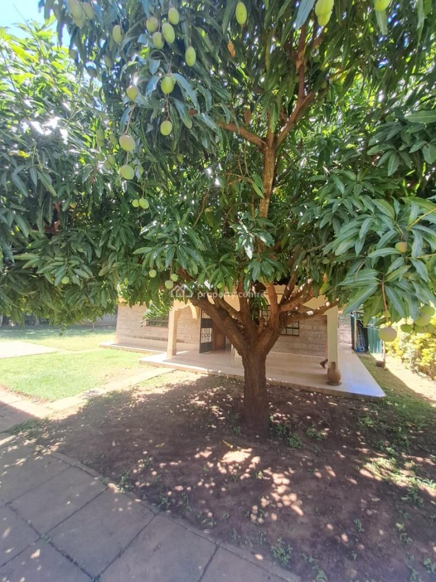 3 Bedroom Bungalow with Well Manicured Lawn, Karen, Nairobi, Detached Bungalow for Rent
