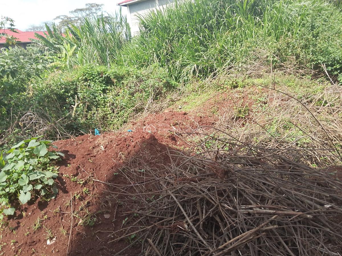 Prime Land, Ndwaru Road, Riruta, Nairobi, Mixed-use Land for Sale
