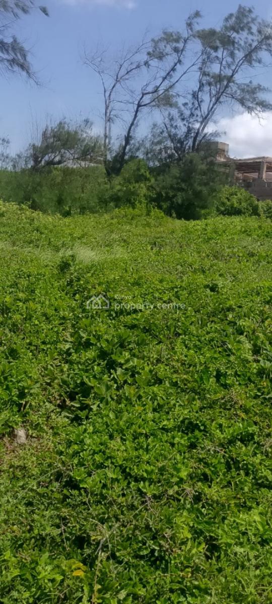 Prime 1 Acre Ocean Front Land, Kilifi Plantation, Sokoni, Kilifi, Residential Land for Sale