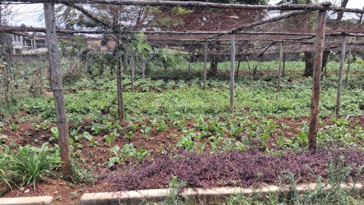 Prime Half Acre Land with a Ready Title Deed, Windyridge, Karen, Nairobi, Land for Sale
