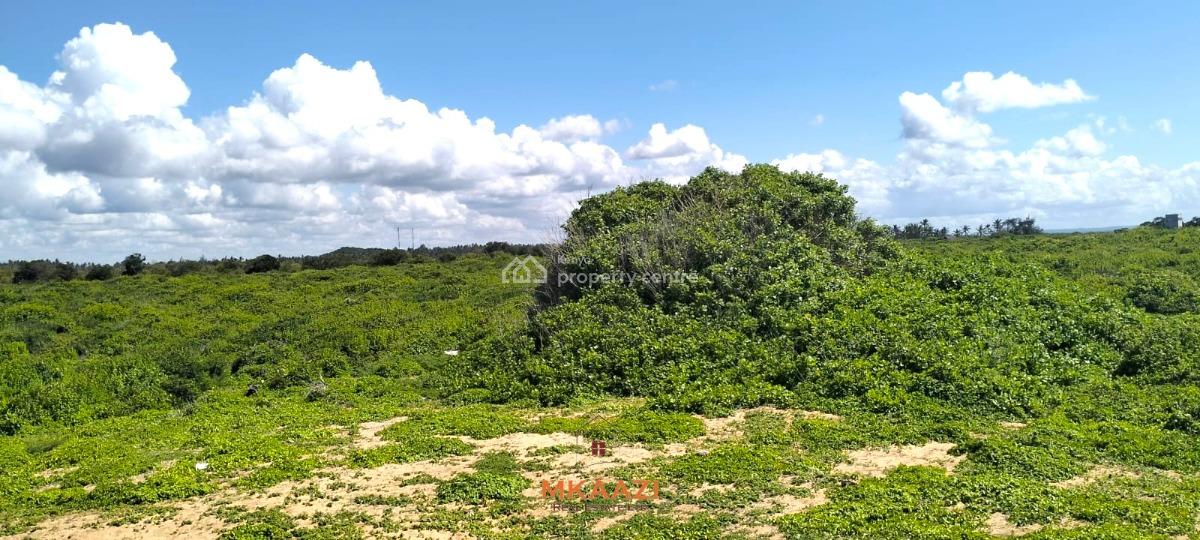 Exclusive 45-acre Beachfront Land in Uyombo, Kilifi, Uyombo, Matsangoni, Kilifi, Land for Sale