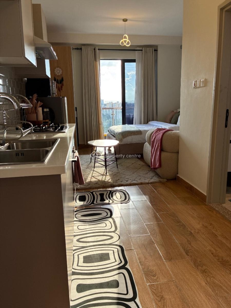 Spacious Studio Fully Furnished in Kilimani, Elgeyo Marakwet, Kilimani, Nairobi, Apartment for Rent