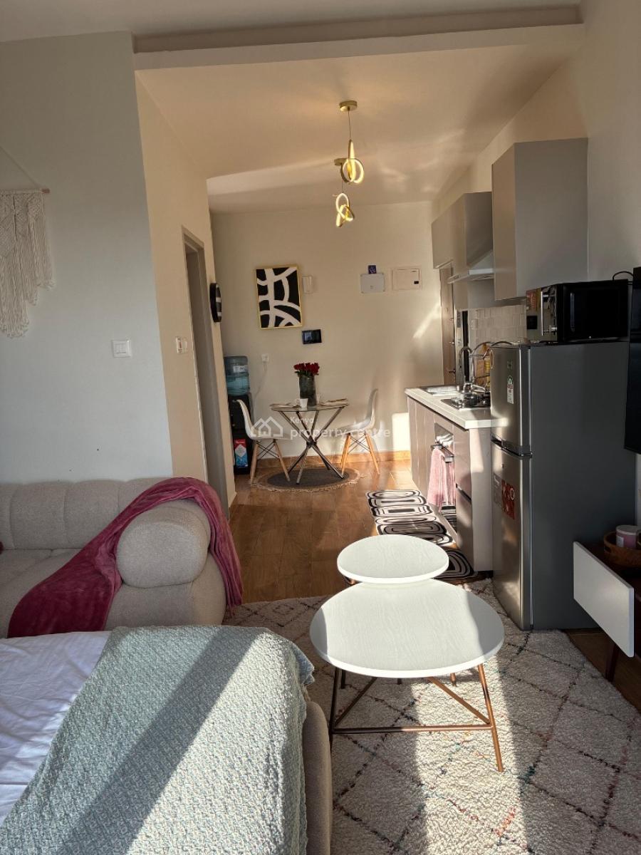 Spacious Studio Fully Furnished in Kilimani, Elgeyo Marakwet, Kilimani, Nairobi, Apartment for Rent