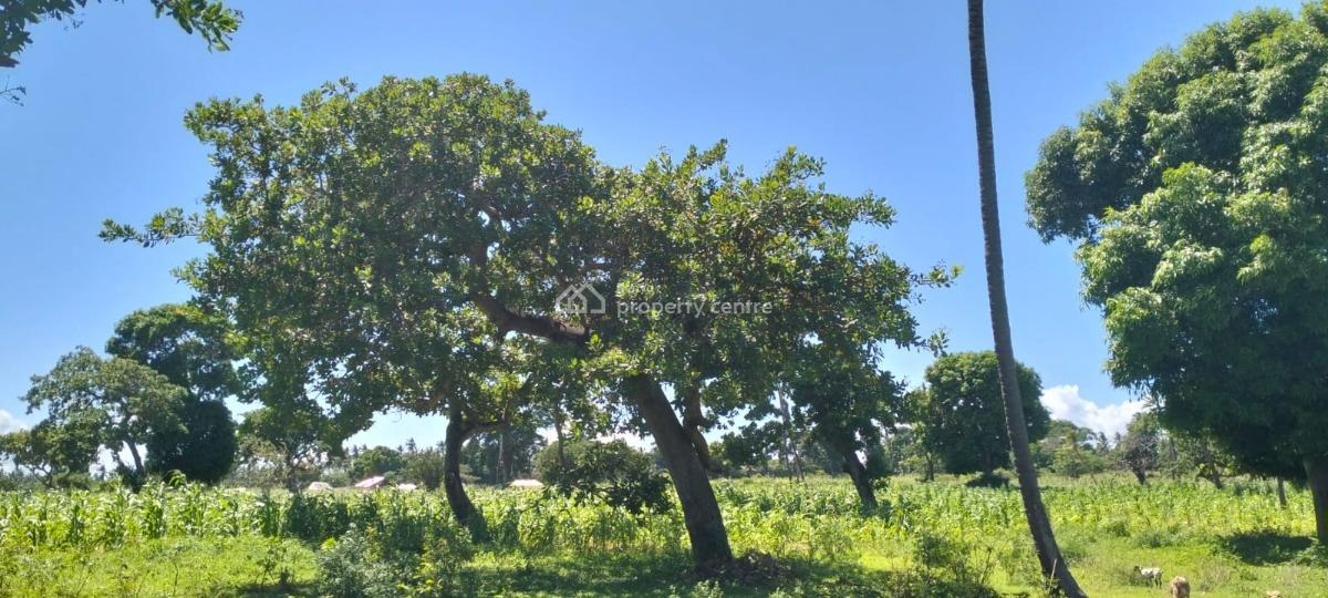 Prime 31.5-acre, Roka, Matsangoni, Kilifi, Land for Sale