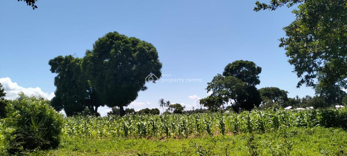 Prime 31.5-acre, Roka, Matsangoni, Kilifi, Land for Sale