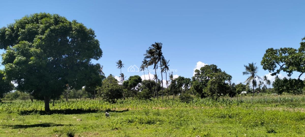 Prime 31.5-acre, Roka, Matsangoni, Kilifi, Land for Sale