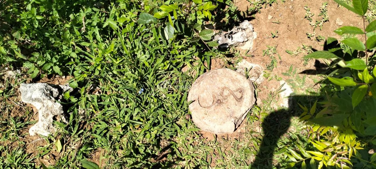 Prime 31.5-acre, Roka, Matsangoni, Kilifi, Land for Sale
