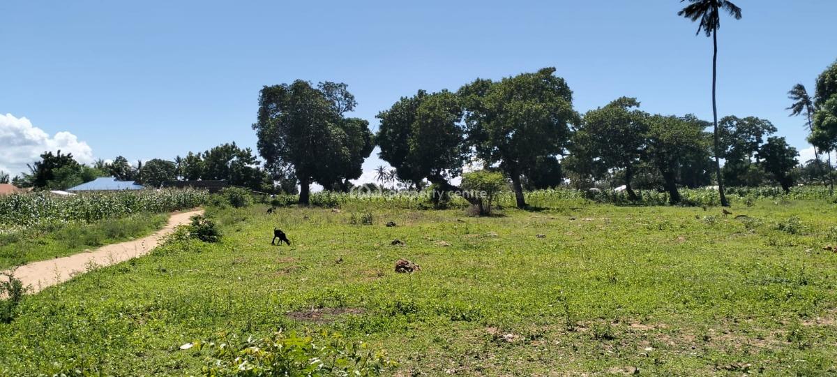 Prime 31.5-acre, Roka, Matsangoni, Kilifi, Land for Sale