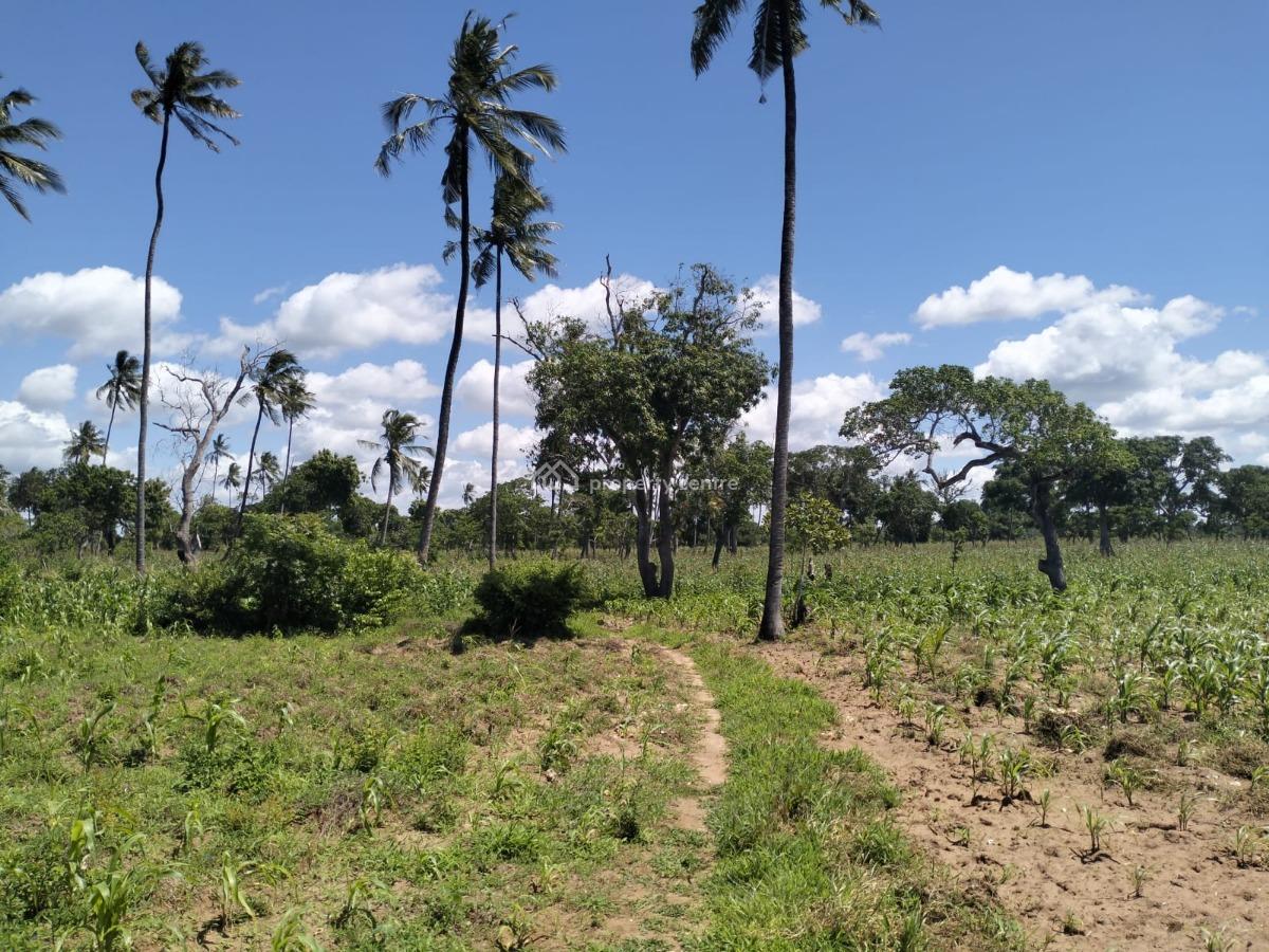 Spectacular 31.5-acres in Roka, Kilifi Near a Natural Lake, Roka, Matsangoni, Kilifi, Land for Sale