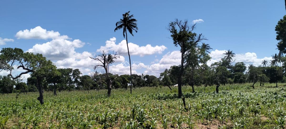 Spectacular 31.5-acres in Roka, Kilifi Near a Natural Lake, Roka, Matsangoni, Kilifi, Land for Sale