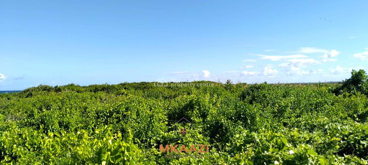 Exclusive 20-acre Beachfront Land in Chumani, Kilifi, Chumani, Ganze, Kilifi, Land for Sale