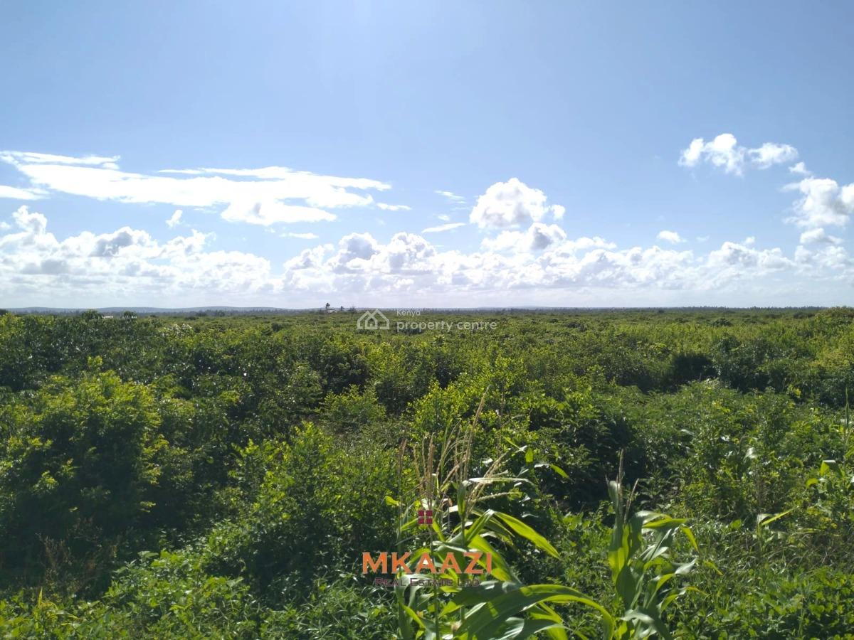 Exclusive 20-acre Beachfront Land in Chumani, Kilifi, Chumani, Ganze, Kilifi, Land for Sale