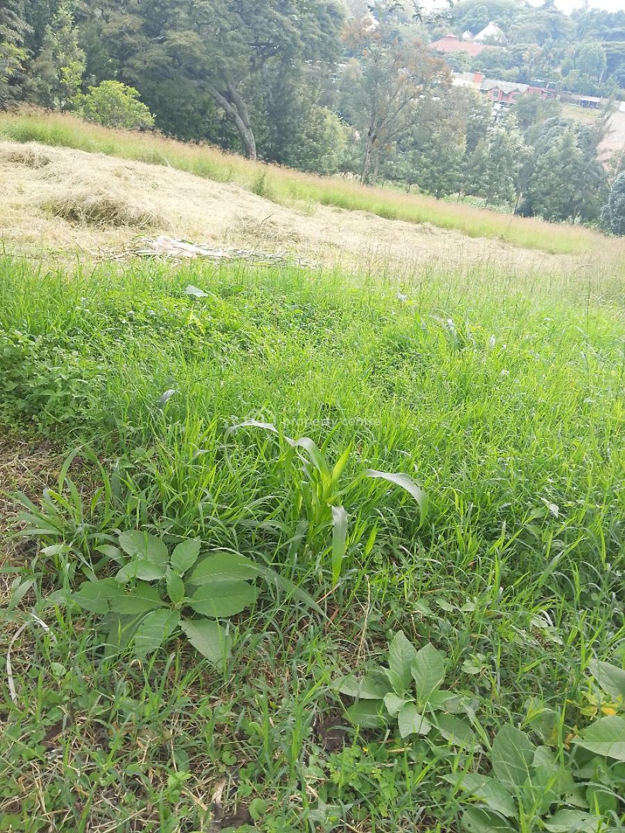 1 Acre Land, Mteero Road, Karen, Nairobi, Residential Land for Sale