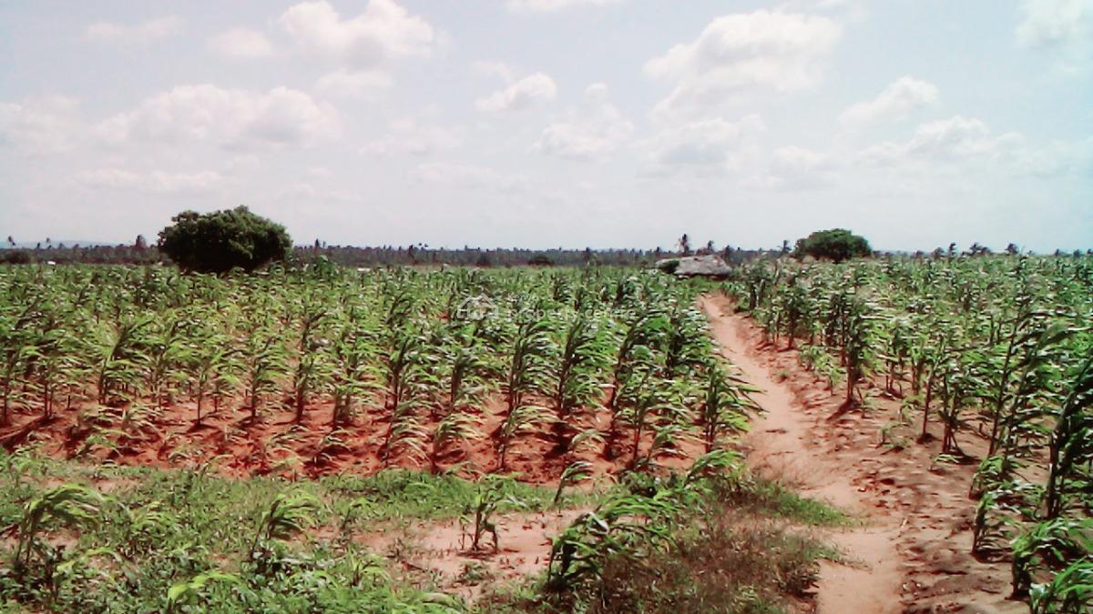 Exceptional 1 Acre 2nd Row Land in Chumani Kilifi, Chumani, Matsangoni, Kilifi, Land for Sale