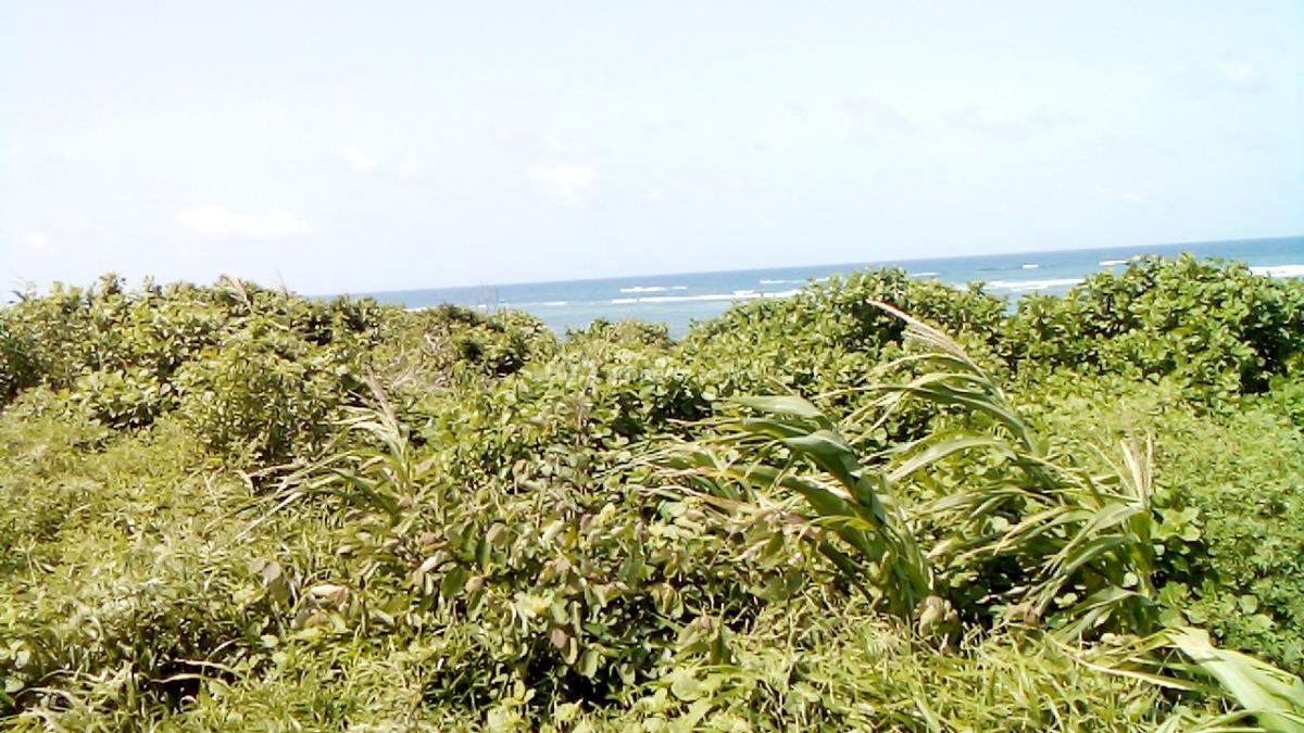 Exceptional 1 Acre 2nd Row Land in Chumani Kilifi, Chumani, Matsangoni, Kilifi, Land for Sale