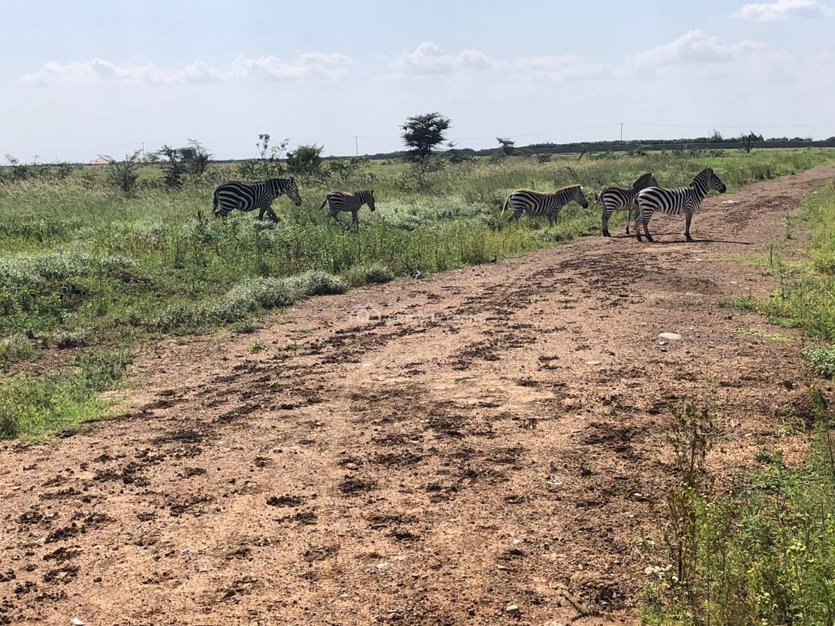 1 Acre Prime Plot, Nuru, Nanyuki, Laikipia, Residential Land for Sale