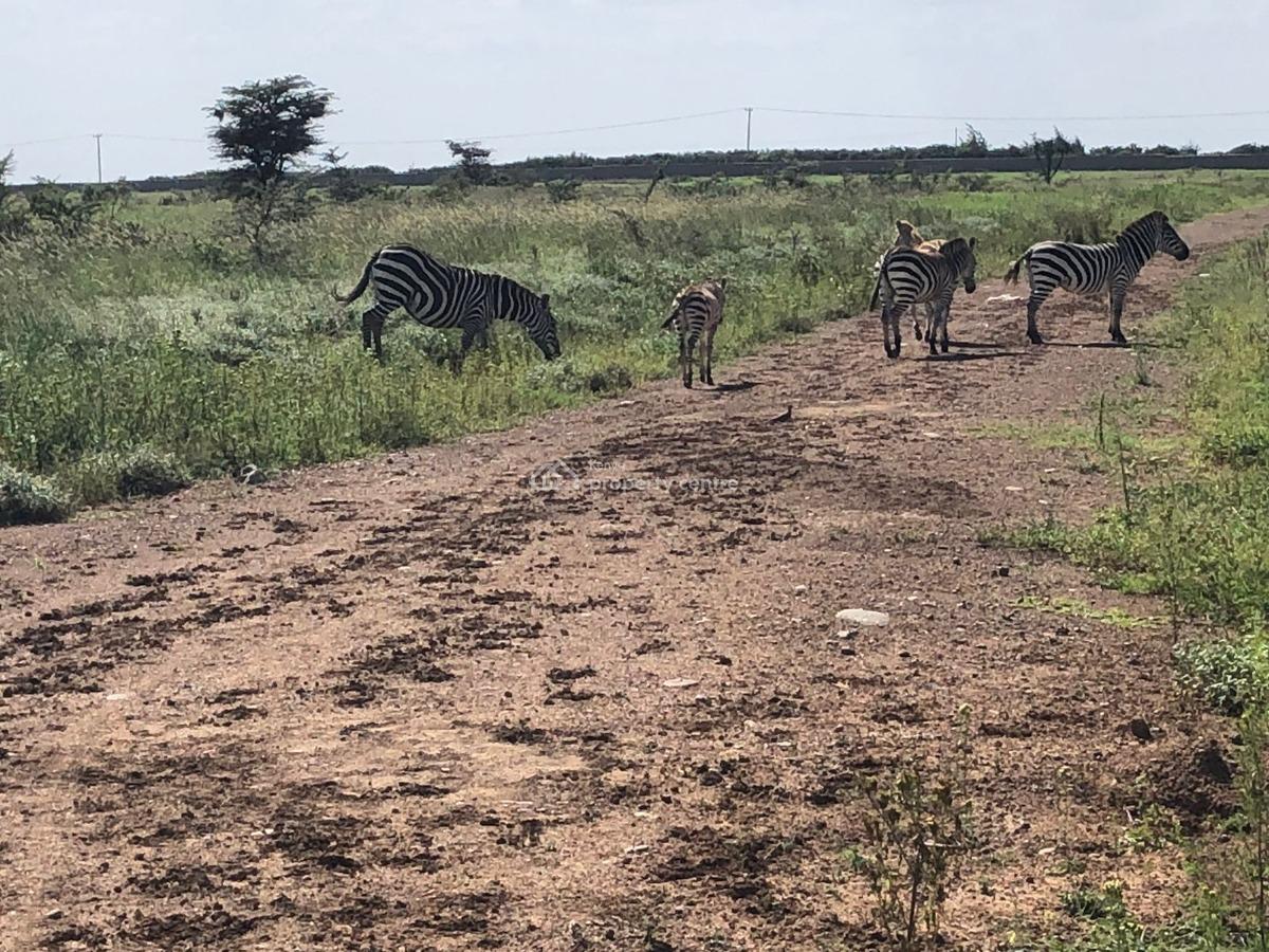 1 Acre Prime Plot, Nuru, Nanyuki, Laikipia, Residential Land for Sale